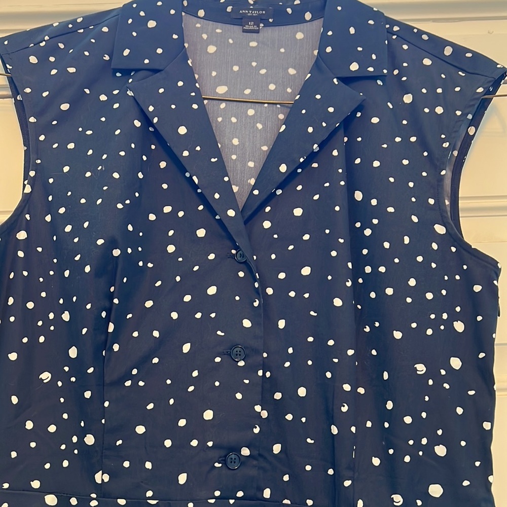 Ann Taylor dress